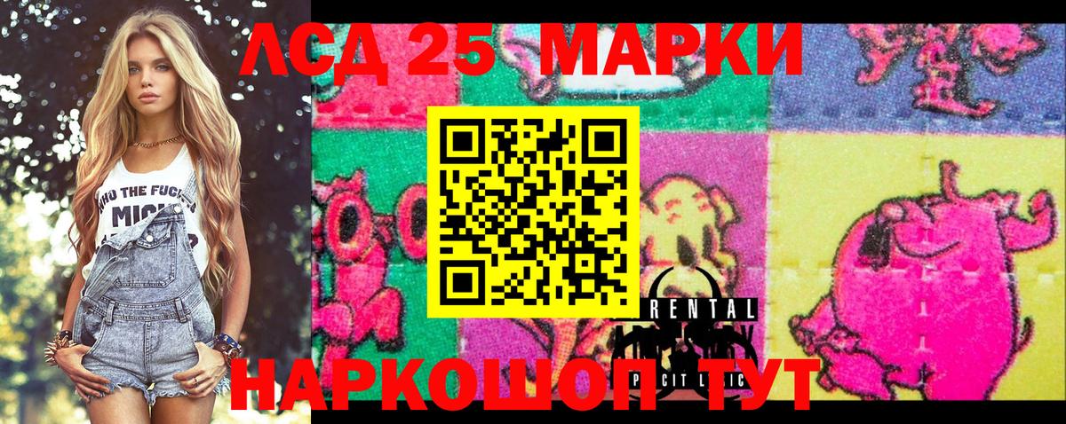 закладка  Вход с VPN  Марки NBOMe 1,8мг  Каменка  Марки NBOMe 1,8мг 