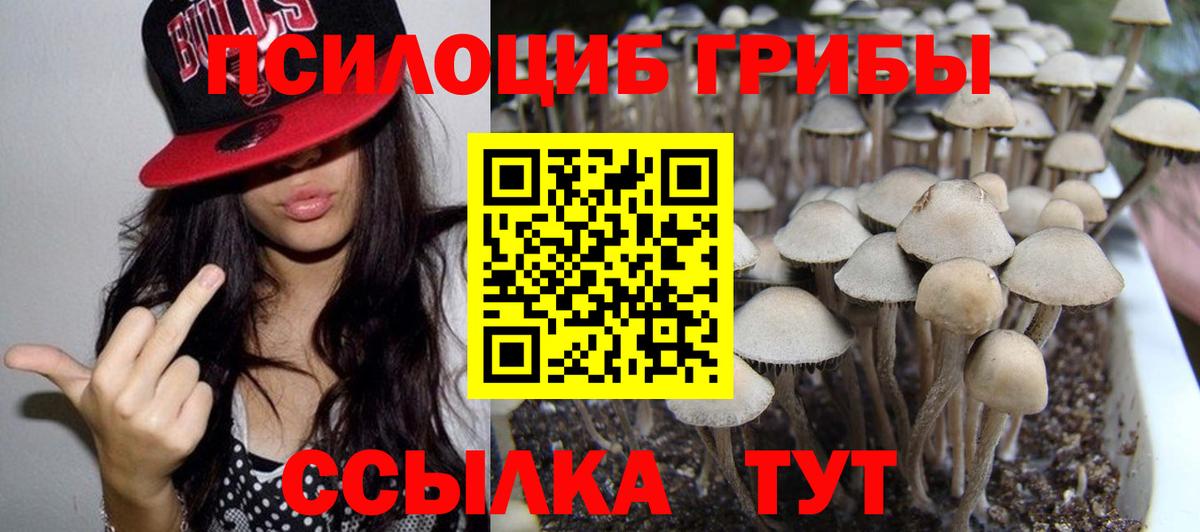 Псилоцибиновые грибы ЛСД  Вход с VPN  Каменка 